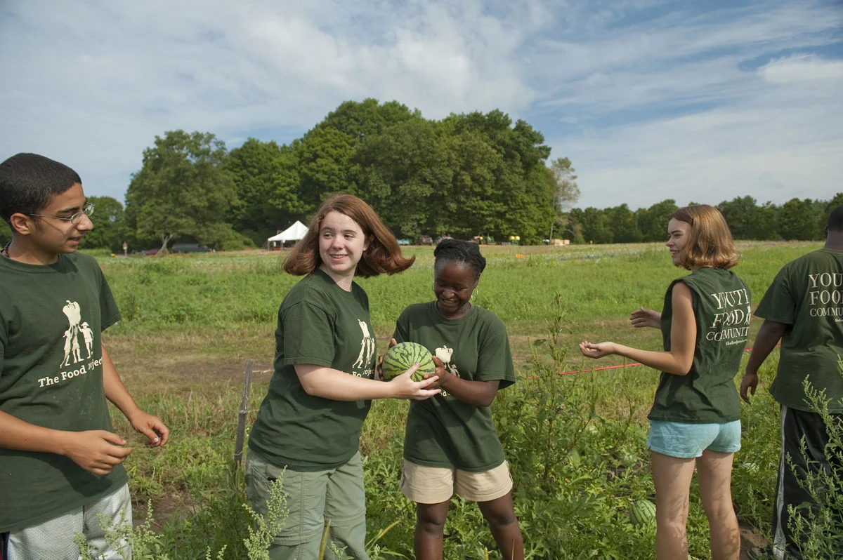 Summer Youth Program participants at one of The Food Project's growing sites Lincoln. (The Food Project photos)