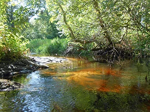 The Wood-Pawcatuck watershed is now recognized by Congress as scenic and wild. (David Smith/ecoRI News)
