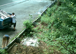Caught on camera dumping glass panes in a public park in Melrose, Mass. (DEP photos)