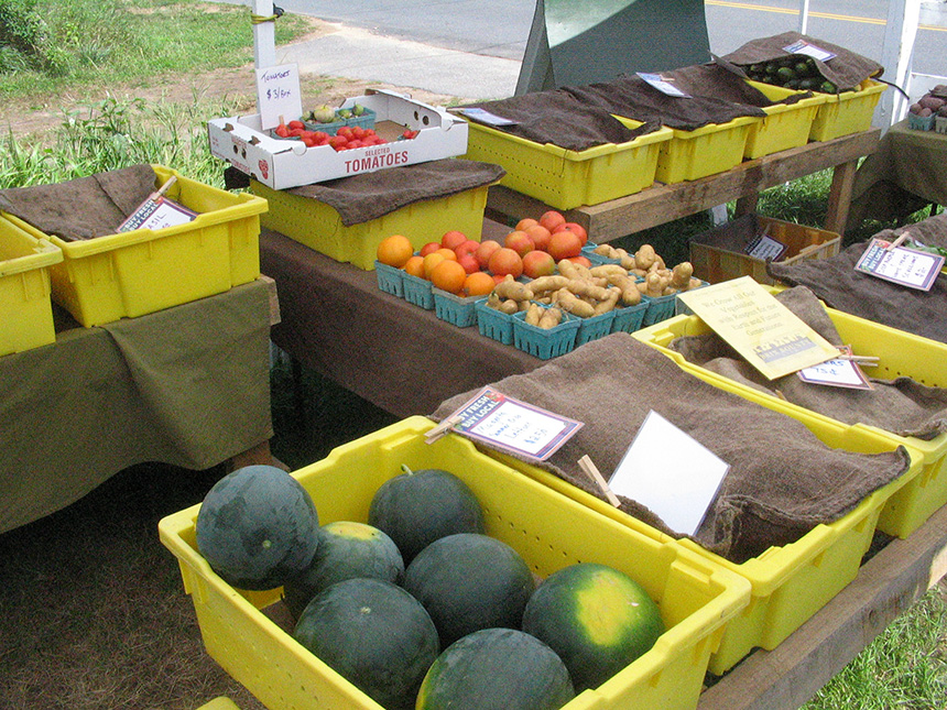 Brix Bounty Farm in Dartmouth started selling its 100 CSA shares in January. (Brix Bounty Farm)