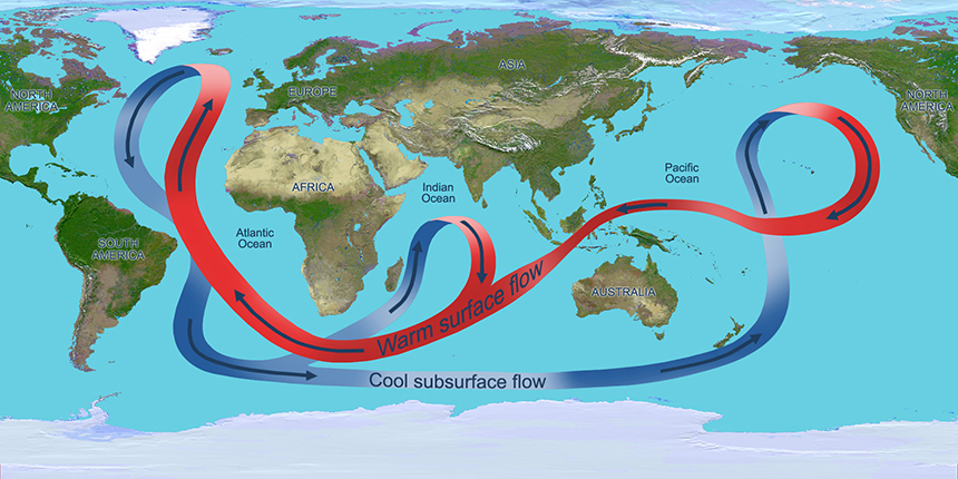 This illustration depicts the overturning circulation of the global ocean. Throughout the Atlantic Ocean, the circulation carries warm waters (red arrows) northward near the surface and cold deep waters (blue arrows) southward. (NASA/JPL)