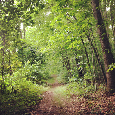 The property features plenty of hiking trails.