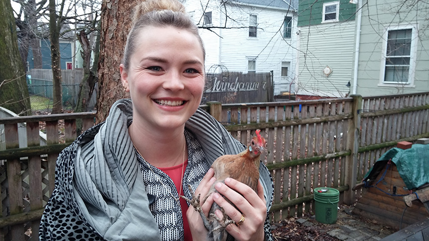 Backyard Chickens Fly The Coop In North Providence Ecori News