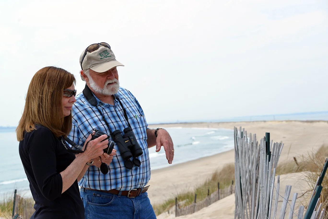 Peter August and Janice Sassi survey wildlife at Napatree Point in Westerly, R.I.