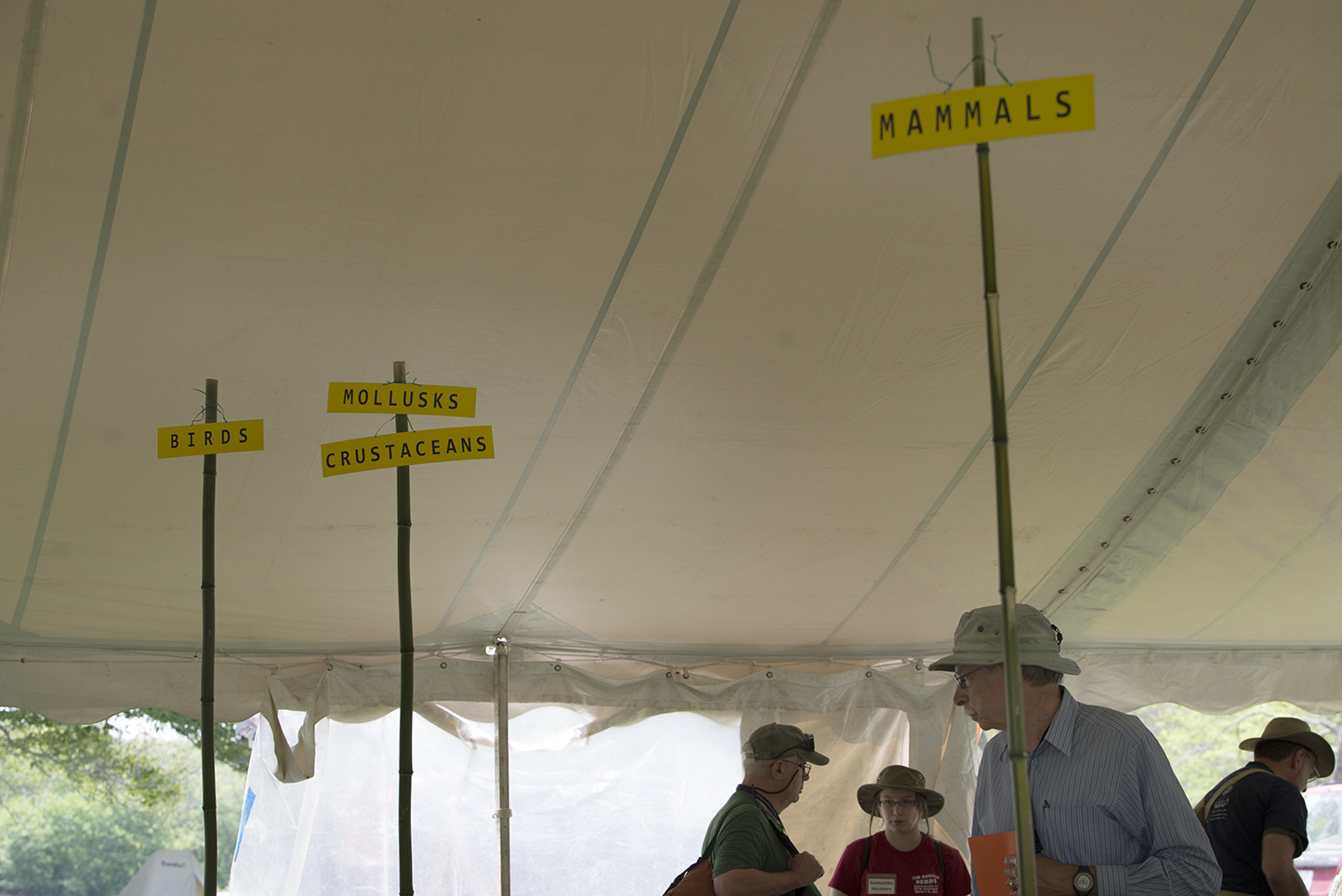 Participants fittingly gathered under the different signs before the start of BioBlitz. Later, they and others would bring back crustaceans, mollusks and other creatures to be cataloged under the Science Central tent.