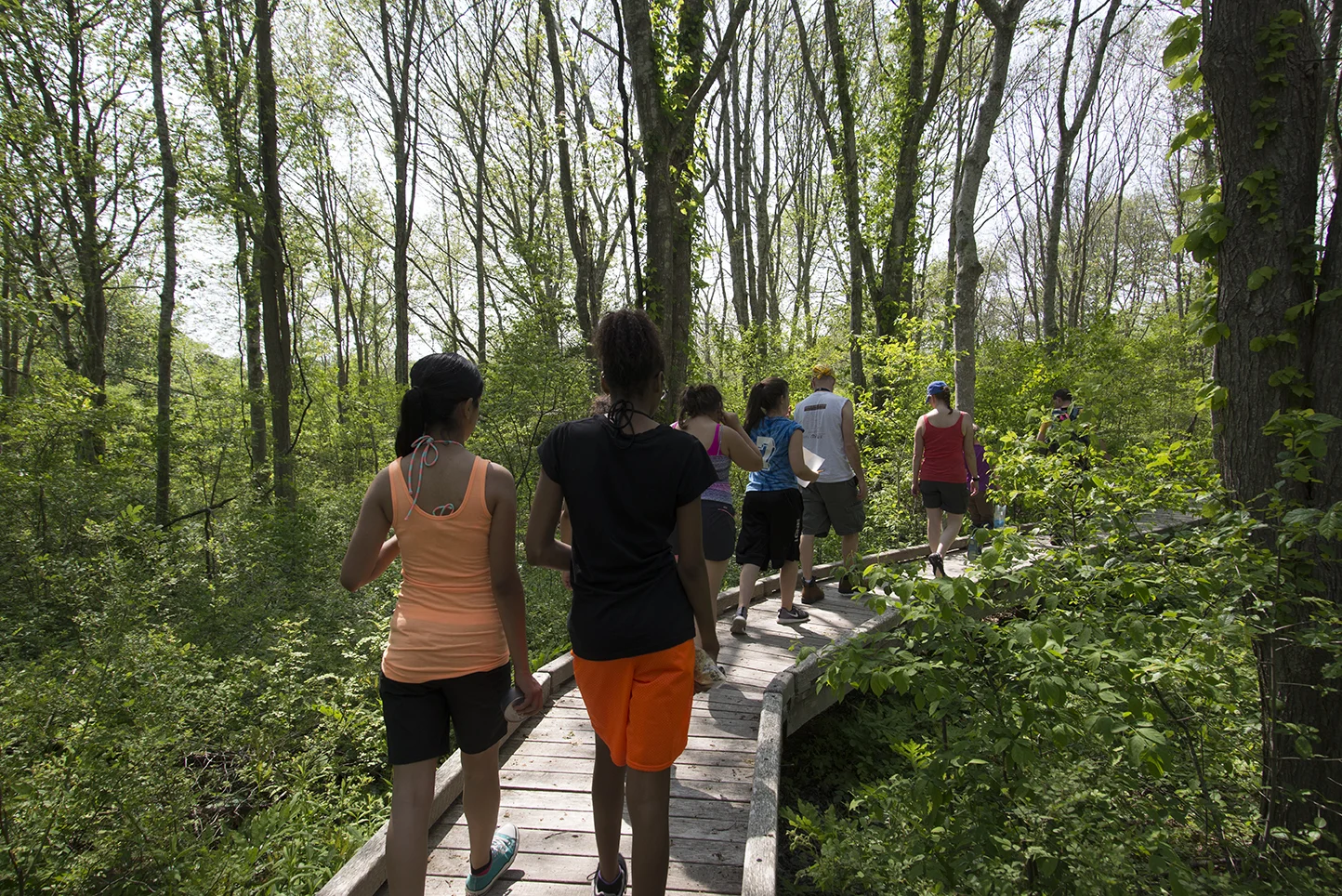 Students from an eighth-grade class at Calcutt Middle School in Central Falls, R.I., set out in search of mammals at the Dundery Brook Preserve.