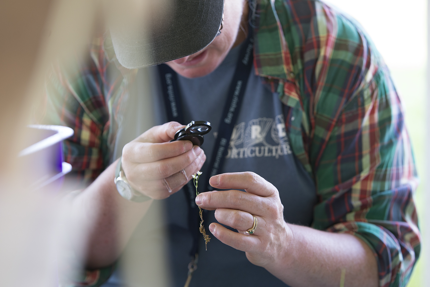 A volunteer identifies plants at Science Central.