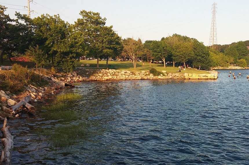 A collection of small artificial reefs will be placed along the eastern edge of The Cove in India Point Park, among existing wooden pilings. (Kevin Proft/ecoRI News)