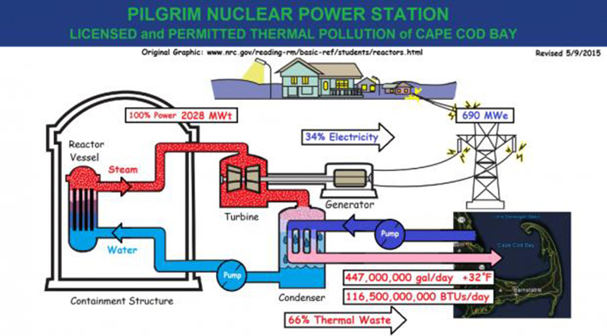 Diagram of Pilgrim’s once-through cooling system from the coalition’s recent report. The volume of water Entergy dumps into the Cape Cod Bay annually is more than enough to run a shower in every household on the Cape and Islands every day, all day, all year long. It’s also 100 times more than the Plymouth Water Department pumps to meet the entire town’s municipal and domestic water requirements each year, according to the coalition.