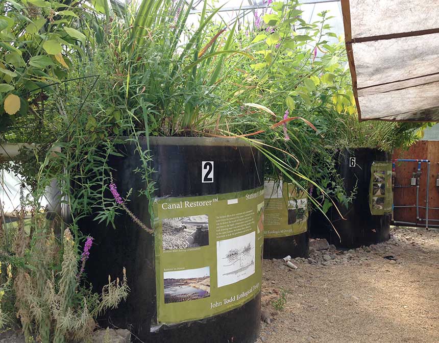 A progression of aquatic cells in the Living Systems Laboratory in South Grafton, Mass., contain native plants that mimic the Blackstone River’s biodiversity and support the regrowth of organisms that cleanse contaminants. (Catherine Sengel/ecoRI News photos)