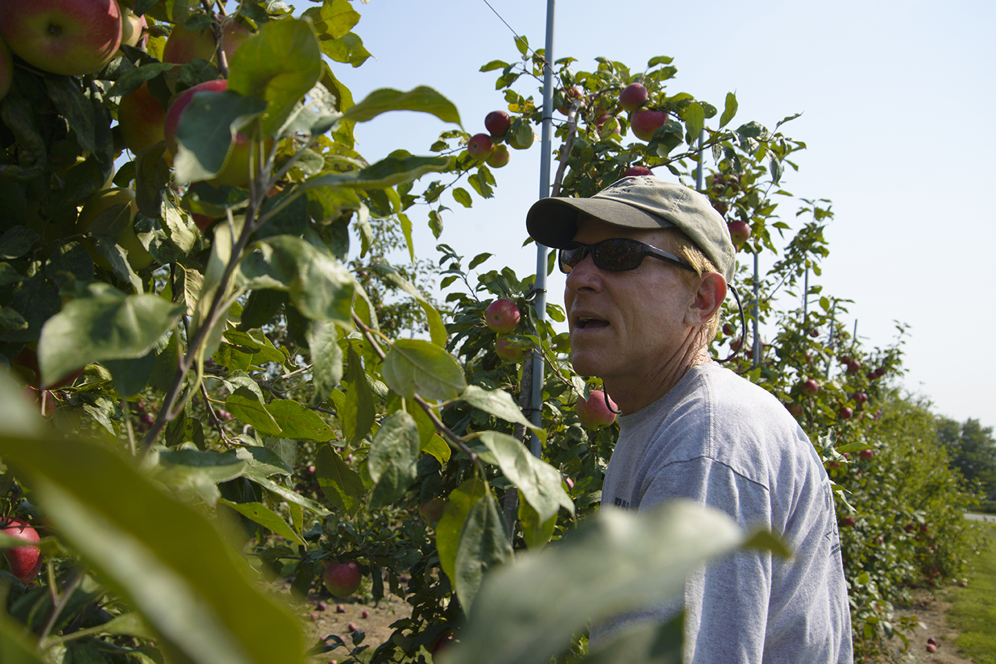 Jan Eckhart, owner of Sweet Berry Farm in Middletown, R.I.