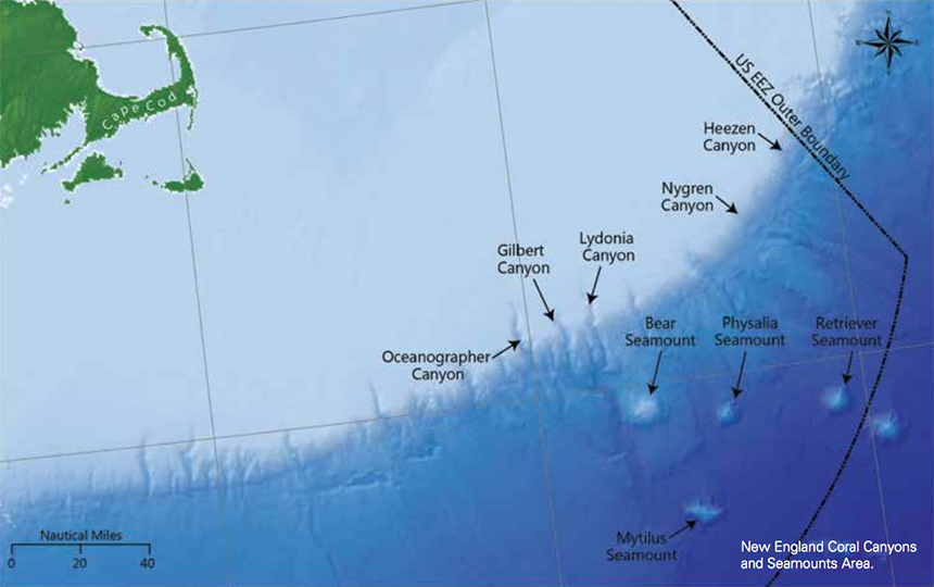 Deep-sea canyons, which can plunge to depths greater than 7,000 feet, and seamounts, which rise thousands of feet above the sea floor, create habitats that are home to corals, fish, marine mammals and turtles. (CLF/NRDC)