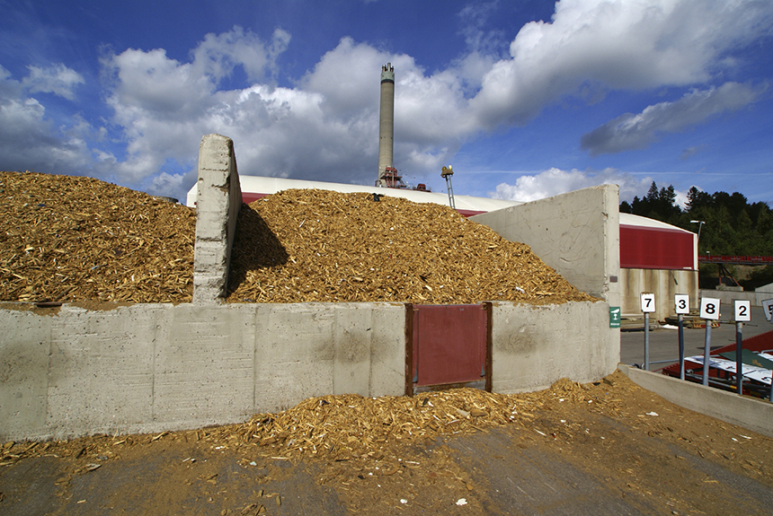 Most of the biomass electricity used in southern New England is imported from wood-burning power plants in New Hampshire and Maine. Tons of carbon dioxide are emitted in the process. (istock)