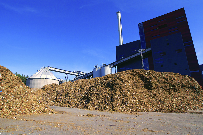 The burning of wood in power plants releases more carbon dioxide than coal and natural gas. (istock)