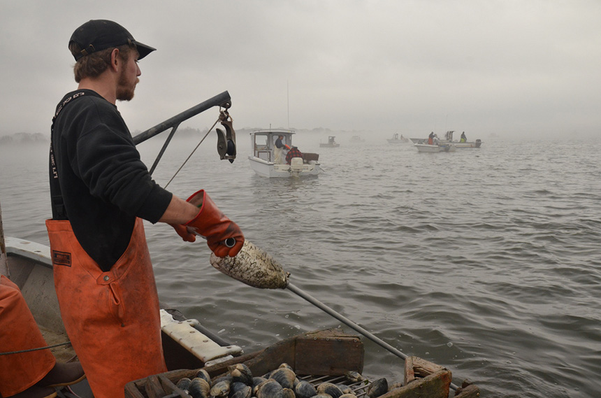MIT is studying the impact ocean acidification is having on phytoplankton and what that could mean for the entire marine food web and the fishing industry. (R.I. Sea Grant)