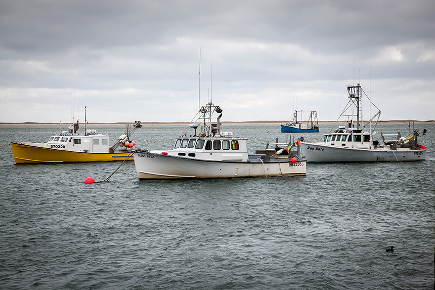 Small owner-operated day-boat commercial fishing businesses are the traditional backbone of Cape Cod’s iconic fishing industry. Chatham remains as one of the last small-boat fleets in New England, preserved in part by efforts of the Cape Cod Commercial Fishermen’s Alliance . (David Hills/The Prospect Hill Foundation)