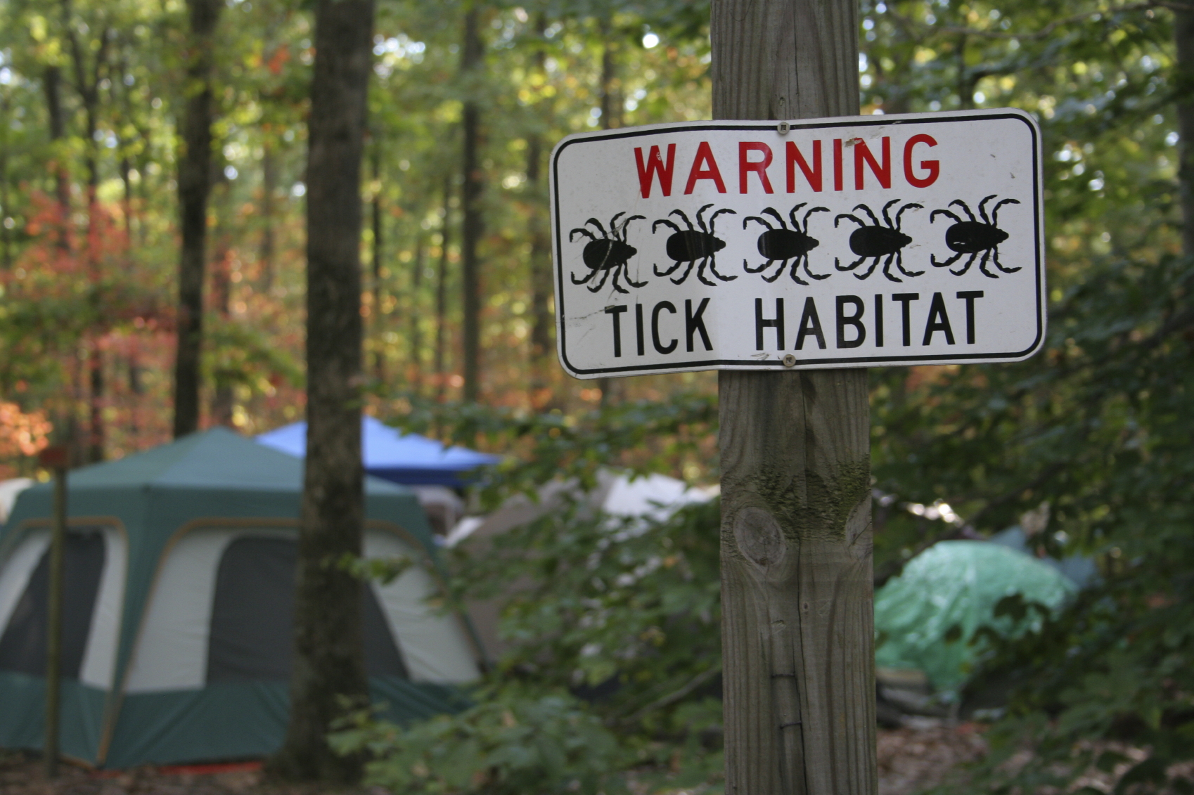 In the past decade, awareness about Lyme disease has increased. (istock)