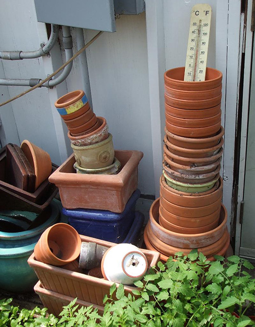 The Providence Public School Department has initiated a pilot program designed to create a network of school gardens. (ecoRI News)
