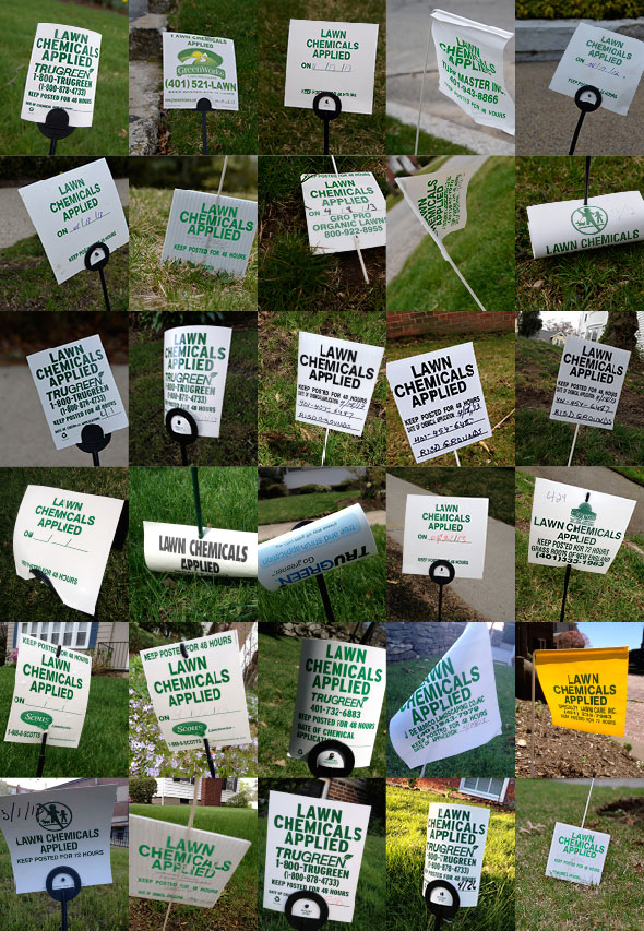 Be aware of all these flags this spring. (Joanna Detz/ecoRI News)