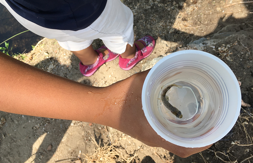 Students from the Paul Cuffee School in Providence recently released classroom-raised trout into the Woonasquatucket River. (Sonya Gurwitt/ecoRI News photos)