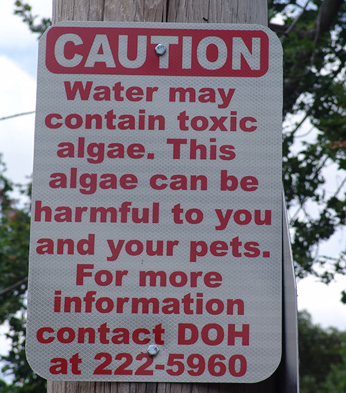 This sign is posted outside a park that abuts Warwick Pond.