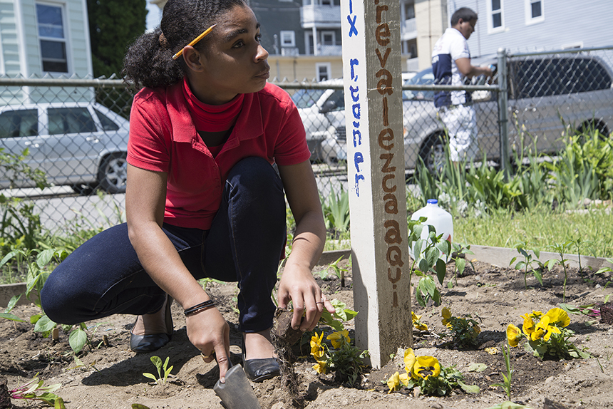 The Central Falls Community Garden grows healthy food and provides valuable educational opportunities for local students. (Joanna Detz/ecoRI News)