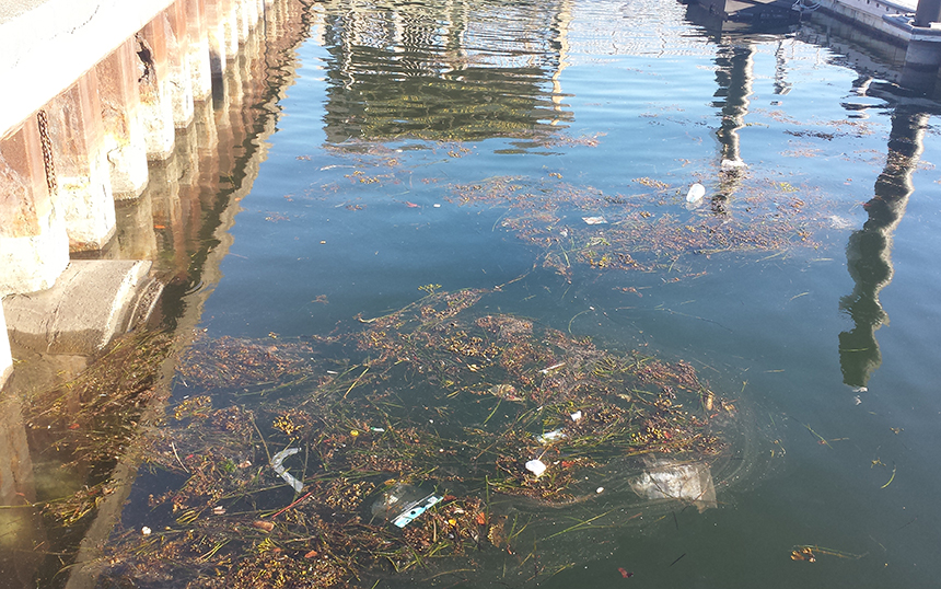 The last big rain event in Newport, R.I., in late May, left behind this mess in Newport Harbor. This is the type of condition the Marina Trash Skimmers, installed in early August, will help clean. (Clean Ocean Access)