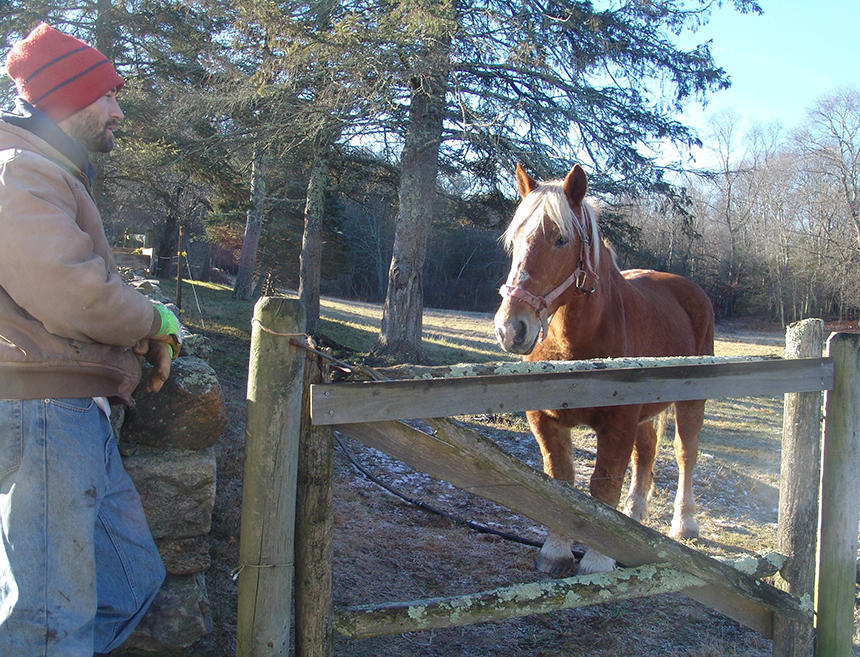 Wild Harmony Farm is operated by Ben Coerper, left, and Rachael Slattery, but a horse named ‘Bud’ runs the show. (Frank Carini/ecoRI News photos)