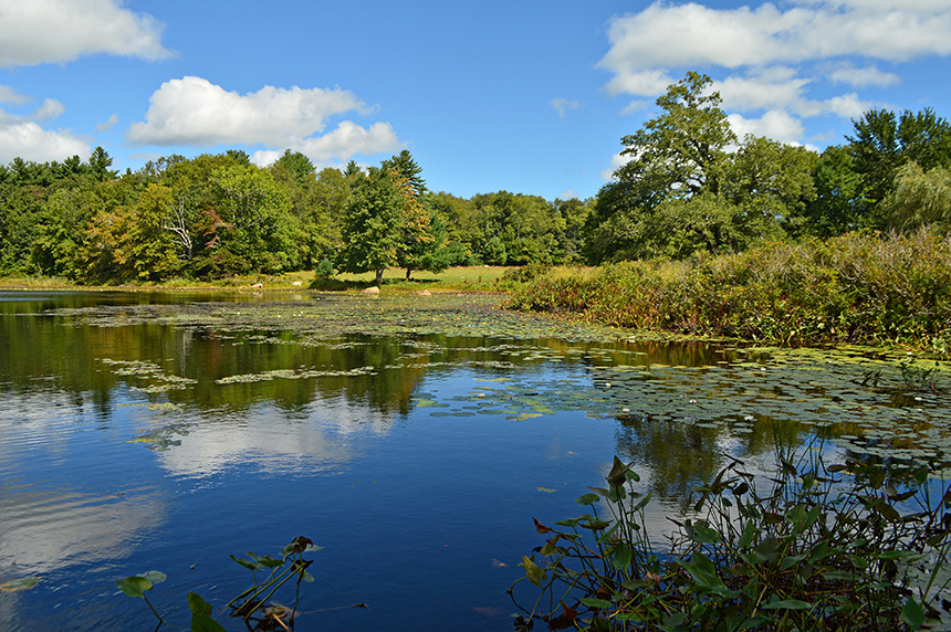 In April, the Buzzards Bay Coalition is expected to open trails at two newly protected properties at Tinkhamtown Woodlands in Mattapoisett, above, and New Boston Road in Fairhaven, growing the Mattapoisett River Reserve to 530 acres of publicly accessible forests, wetlands and cranberry bogs for hiking, paddling, fishing, hunting and wildlife watching. (BBC)