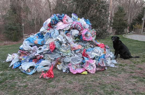 A year’s worth of mylar balloons collected by Geoff Dennis in 2016 from Little Compton beaches. (Courtesy photo)