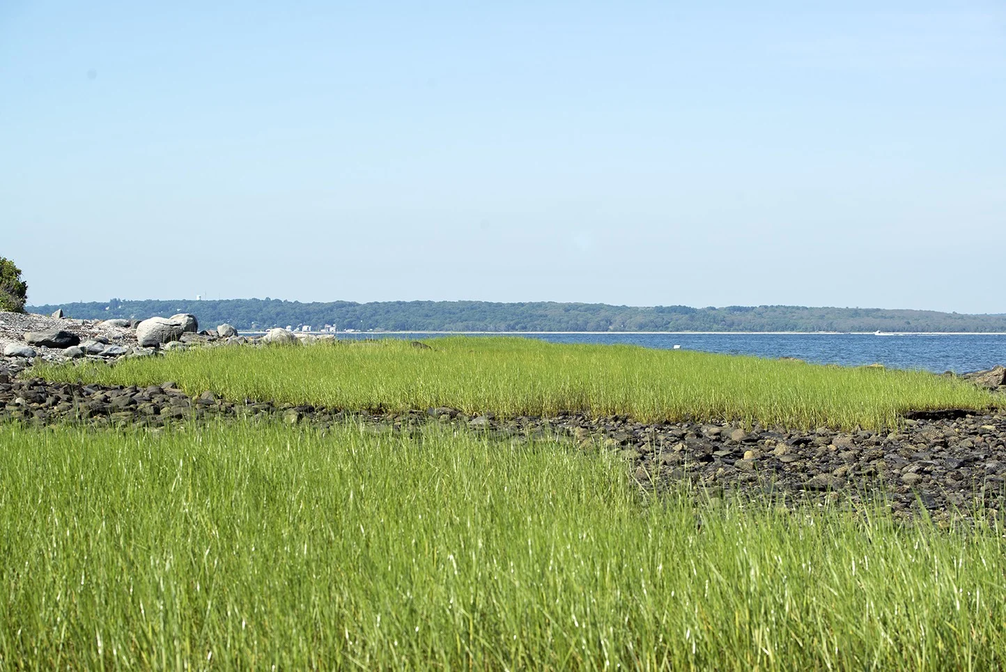 The Jamestown shoreline on Narragansett Bay. (Joanna Detz/ecoRI News)