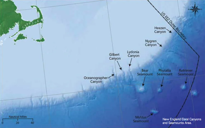 Deep-sea canyons, which can plunge to depths greater than 7,000 feet, and seamounts, which rise thousands of feet above the sea floor, create habitats that are home to corals, fish, marine mammals and turtles. (CLF/NRDC)