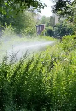 The Army Corps of Engineers contacted the Cranston company to spray along the Blackstone River.