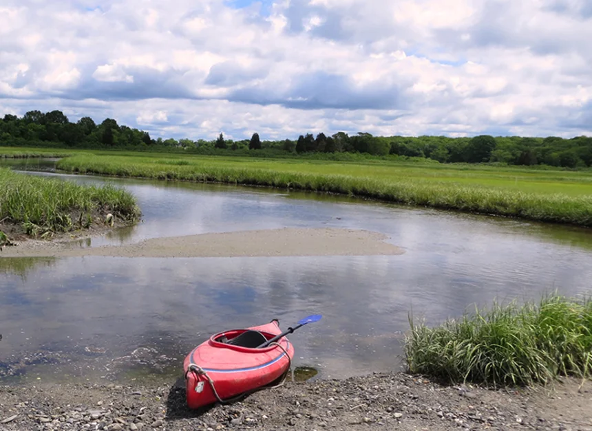 The Ocean State's vital collection of salt marshes provide important environmental and economic benefits. (NBNERR)