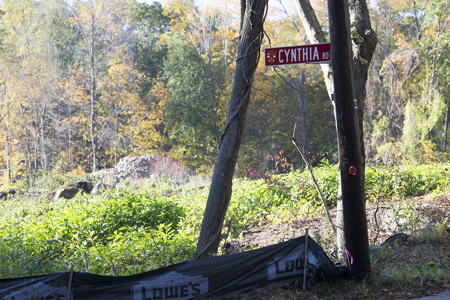 This 2-acre lot on Cynthia Road in Lincoln, R.I., will soon be home to two houses. Across the street is a historic spring and an old homestead. (Joanna Detz/ecoRI News)