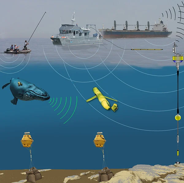 This graphic shows the various technologies used to study marine mammal acoustics. (Mike Thompson/NOAA)