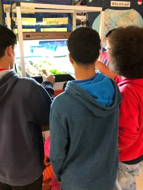 Students are learning English and studying hydroponics.