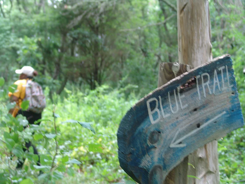 Rhode Island’s woodlands support many recreational activities. They also store a lot of carbon. (Frank Carini/ecoRI News)