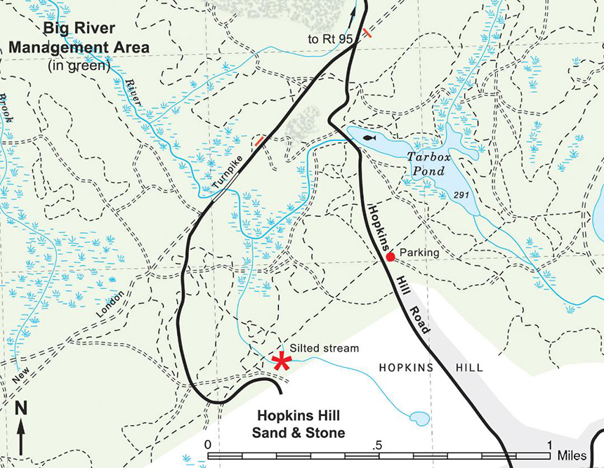 The 8,319-acre Big River Management Area has 6,155 acres of forestland and 1,288 acres of wetlands. (Cliff Vanover/ Great Swamp Press )