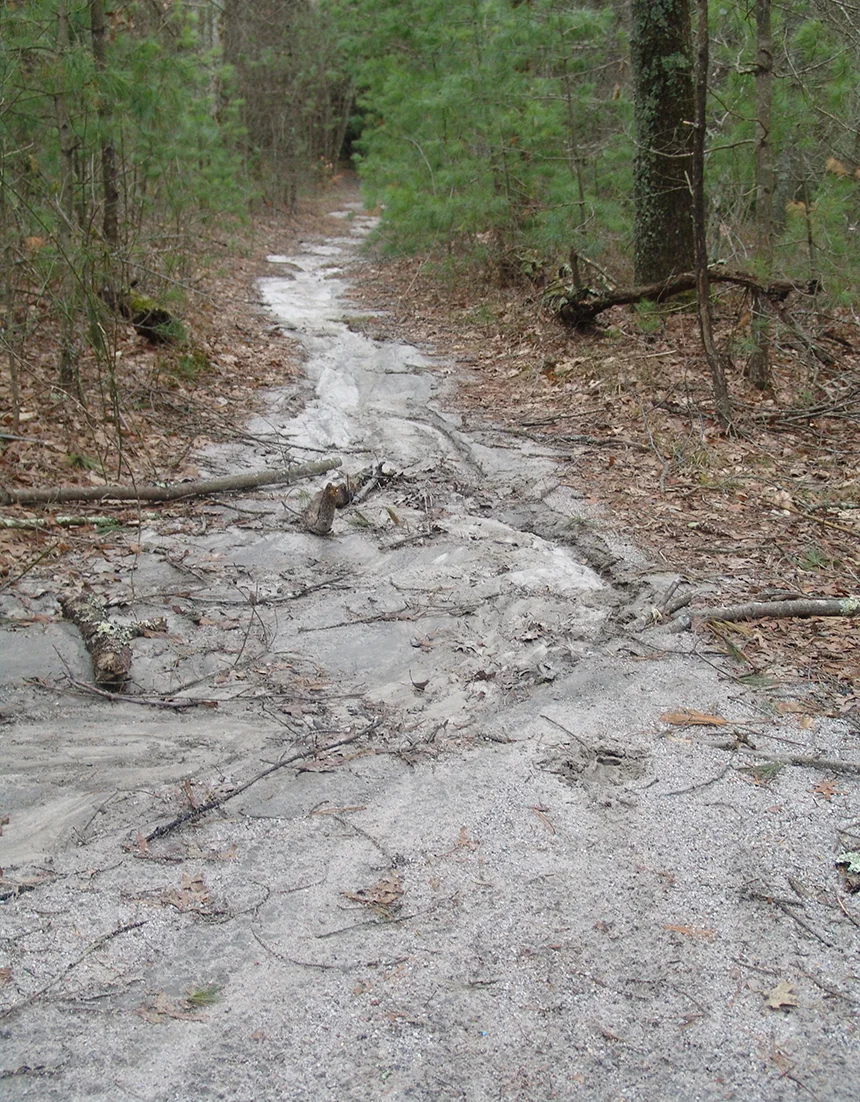 Gritty Trail