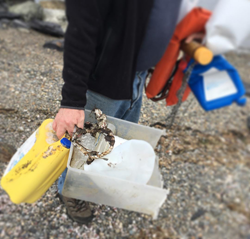 A small sampling of the types of plastic that litter the Rhode Island shoreline, in this case Portsmouth. (Joanna Detz/ecoRI News)