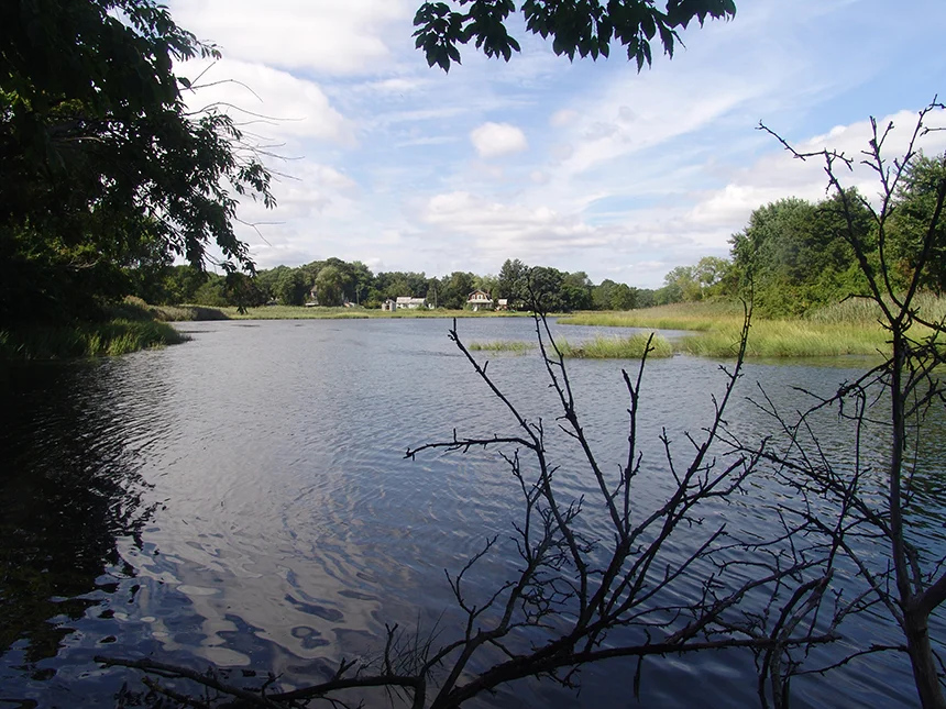 An estimated 300,000 gallons of raw sewage was recently discharged into Buckeye Brook when a 40-year-old sewer line collapsed. The brook drains into Mill Cove.