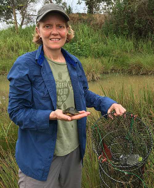 URI herpetologist Nancy Karraker studied the ecology of the southeast Asian box turtle at Rawa Aopa Watomohai National Park in Indonesia in 2018. (Jessica Atutubo)