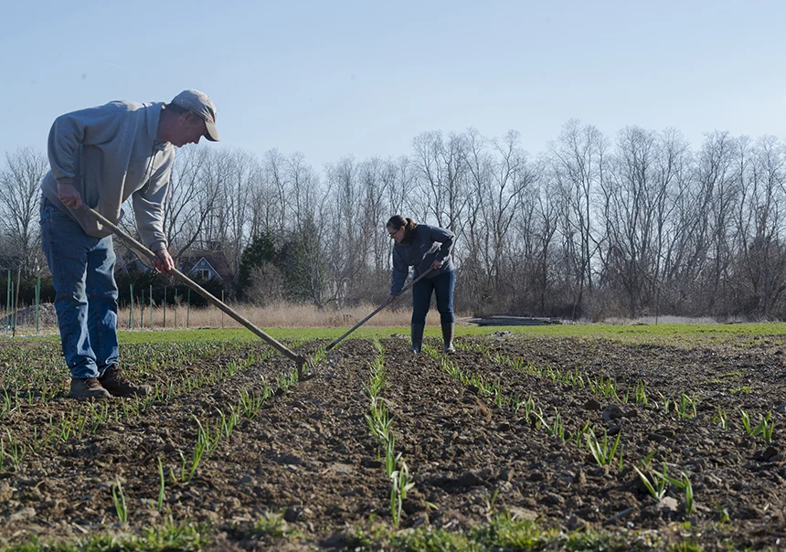The Garmans, Jim and Michelle, have been farming leased land in Middletown, R.I., since 2011. (Joanna Detz/ecoRI News)