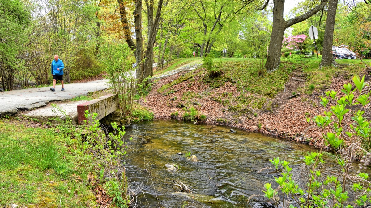 The Meshanticut stream is the lake’s water source. Unfortunately, it carries pollutants from roads and nutrients from lawn fertilizers, which accelerate the growth and volume of lake plants and algae.
