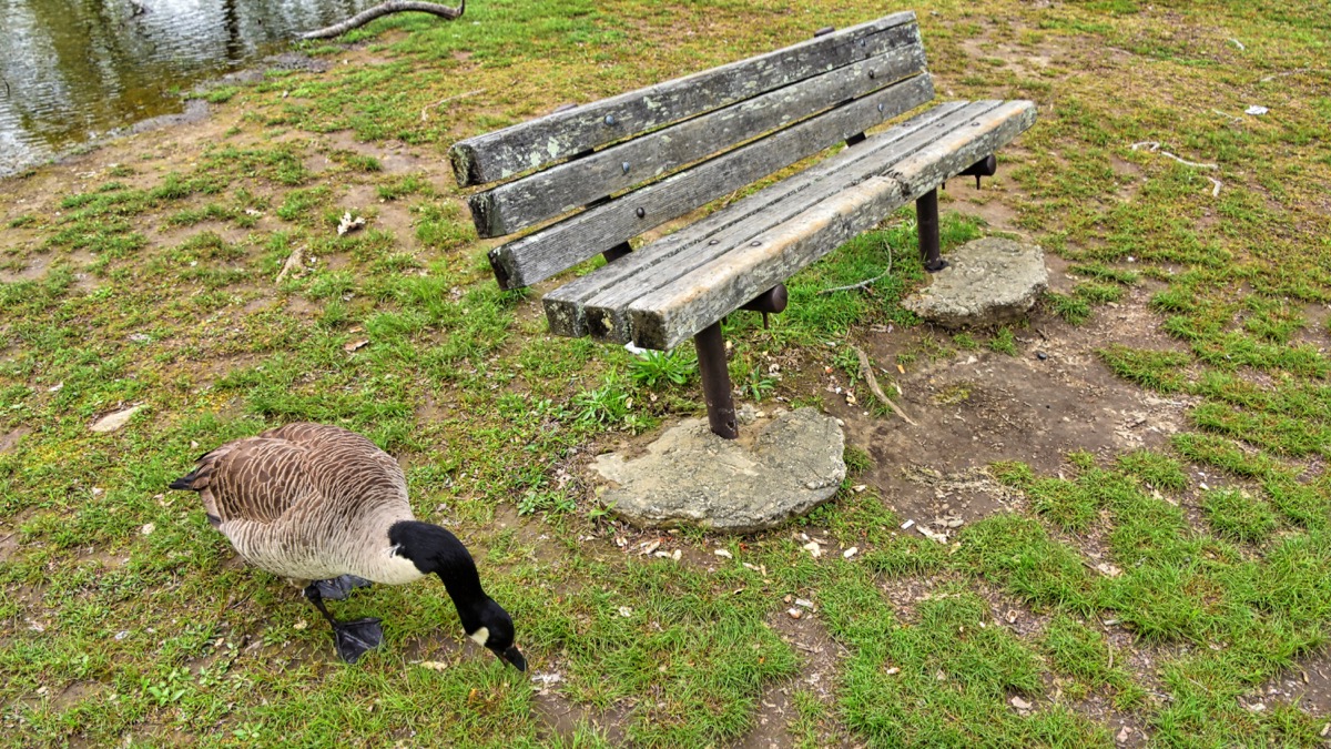 Our neglect and disrespect for nature isn’t only unsightly, but it’s also ingested by those who depend on our stewardship.
