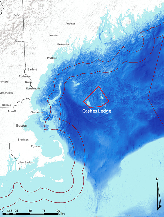 The 550-square-mile area is about 80 miles off the New England coast. (NOAA)