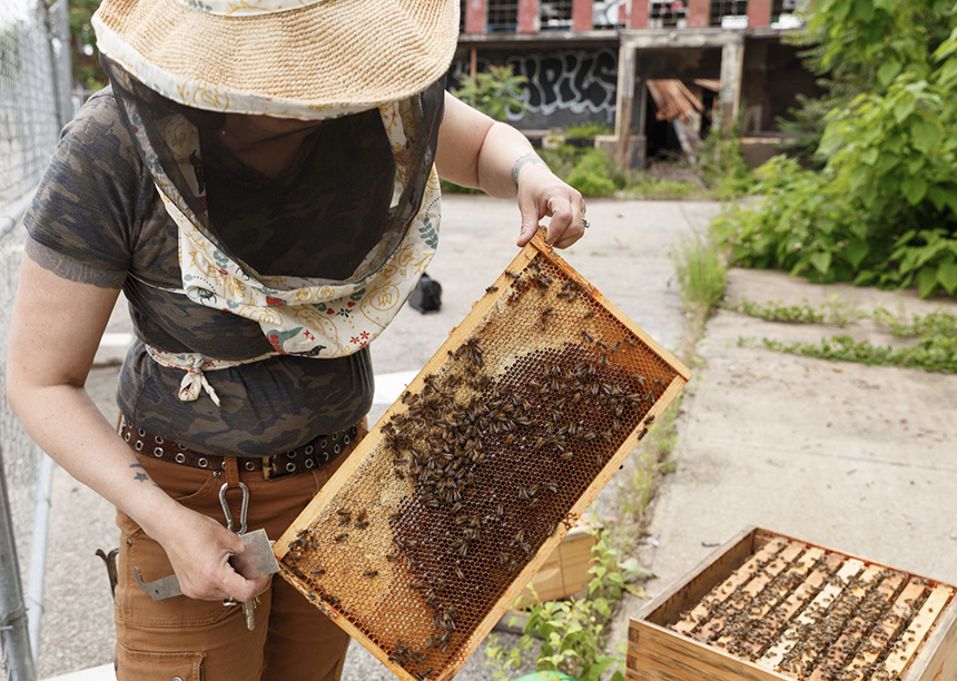 Cindy Holt became a master beekeeper last year.