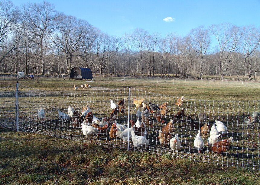 Government support for big agricultural operations at the expense of small farms hurts both local economies and the environment.