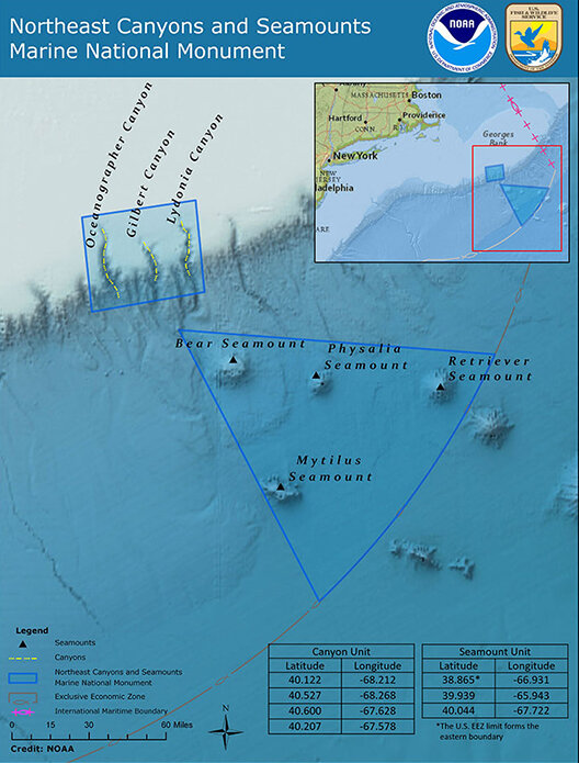 About the size of Connecticut, the only Atlantic Ocean marine monument includes two distinct areas, one that covers three canyons and one that covers four seamounts. (NOAA)